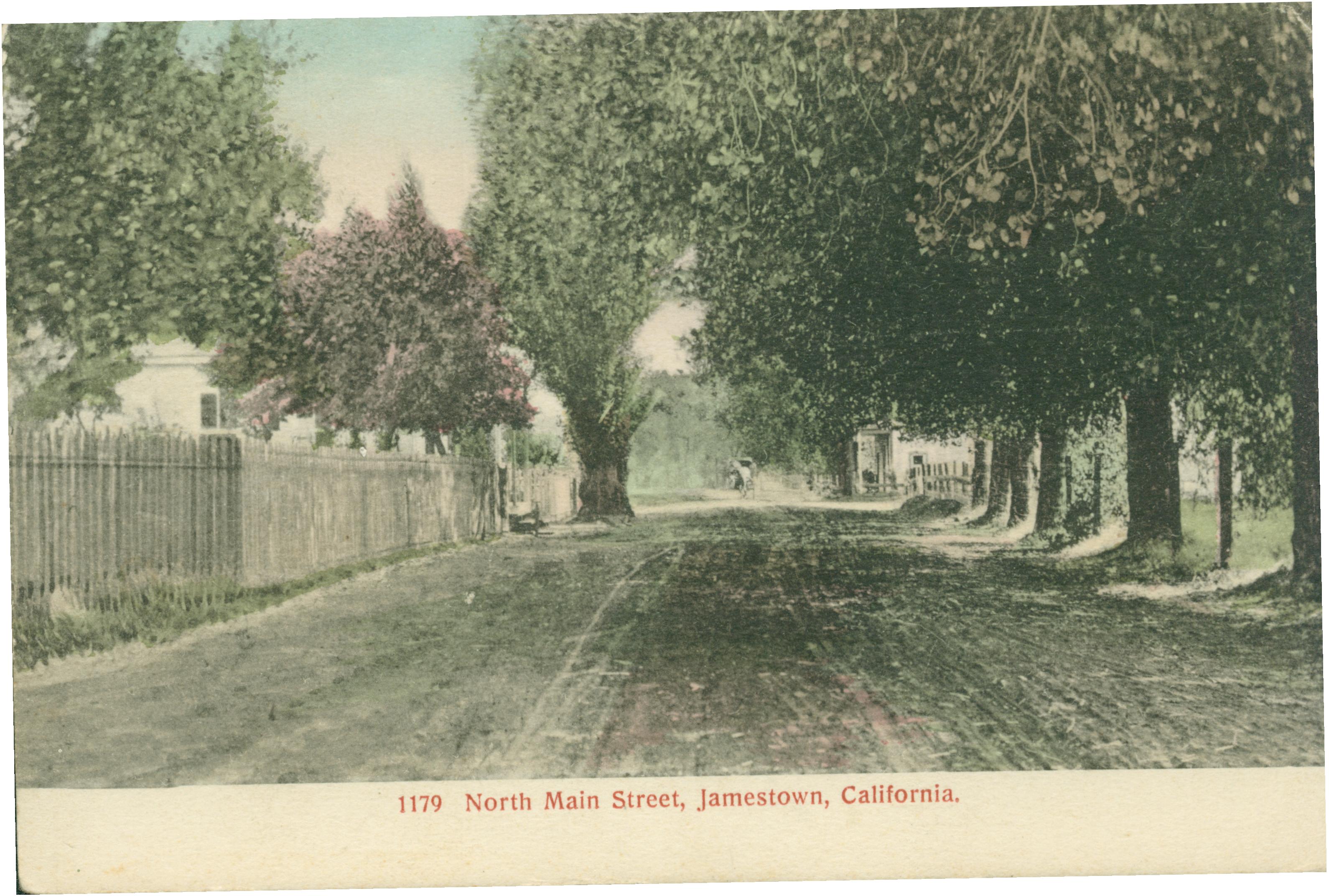 Shows a street in Jamestown lined by trees fences and a few buildings